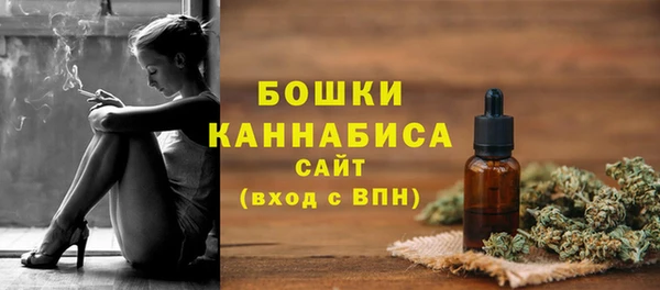 метадон Белокуриха