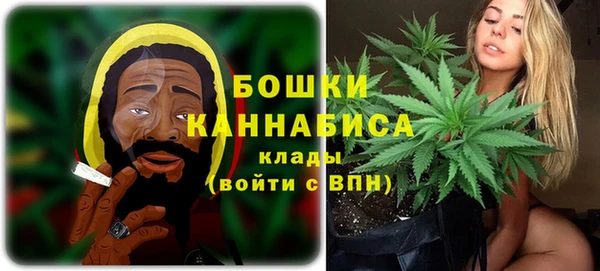 метадон Белокуриха